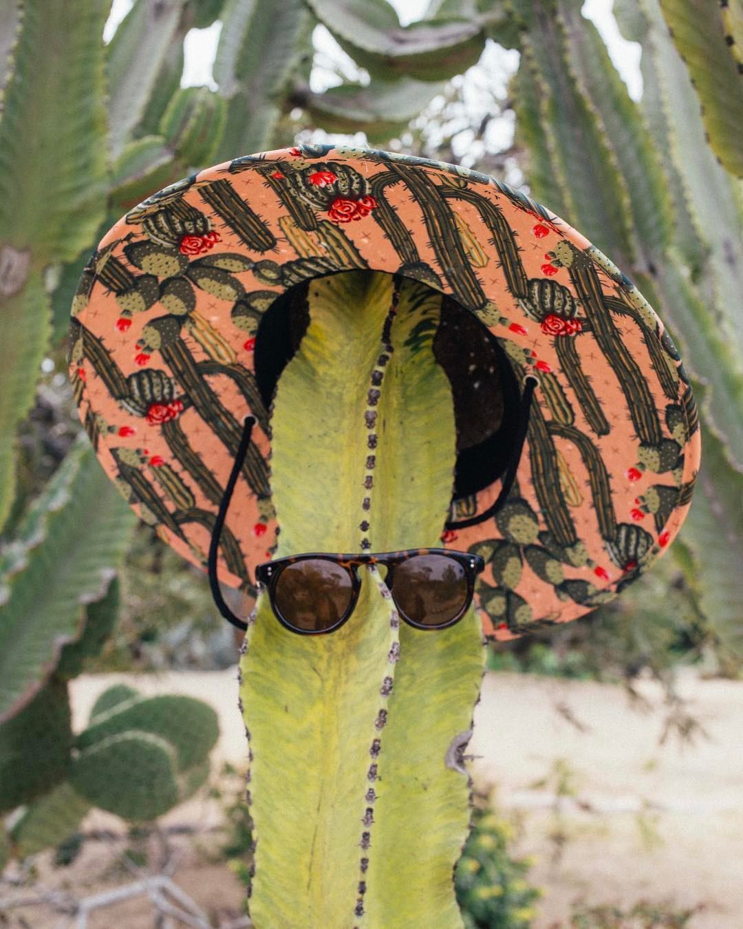 How To Fly With Your Straw Hat - Hemlock Hat Co.