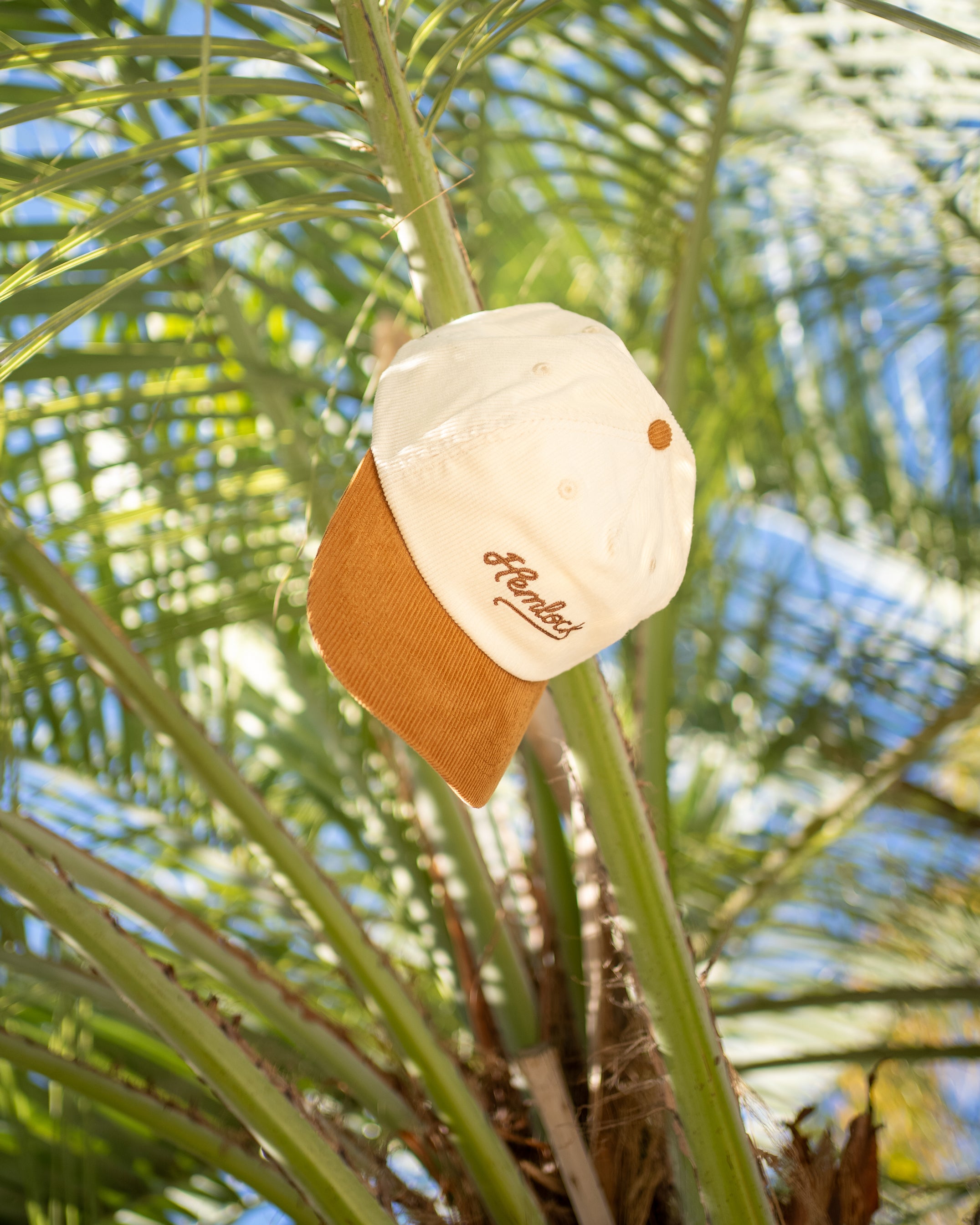 Hemlock Wesley Baseball Hat in Brown on a palm tree