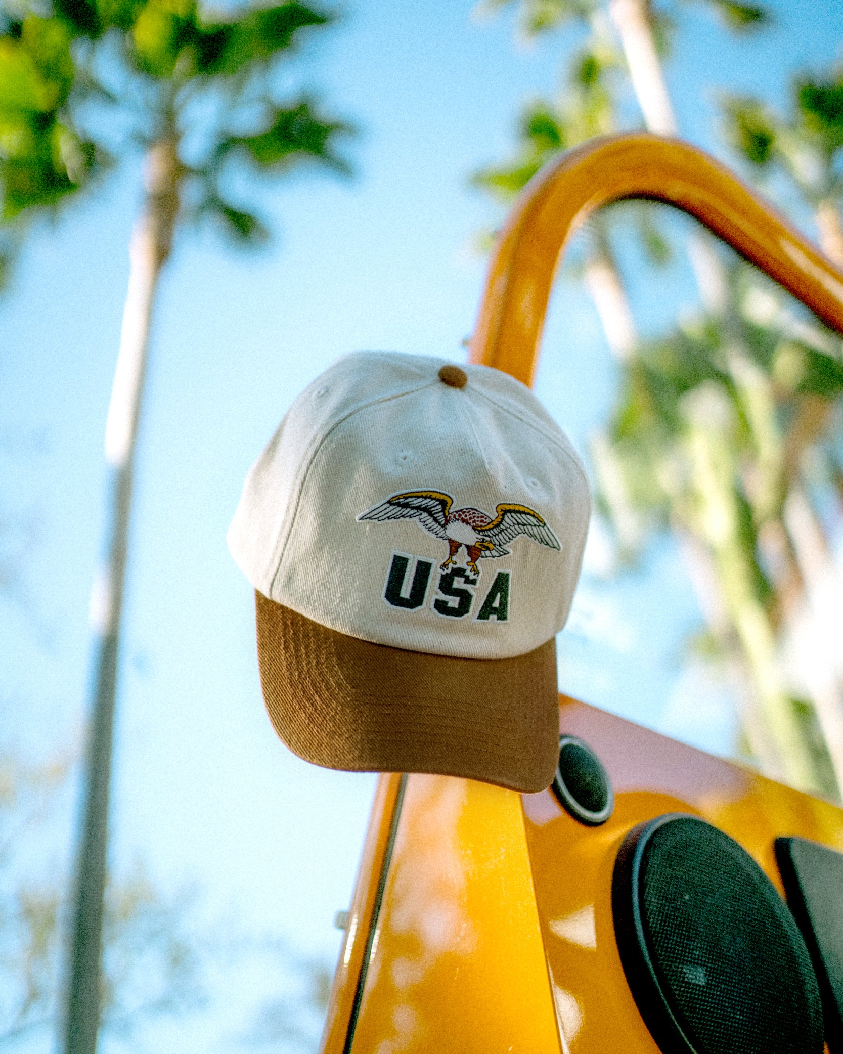 Hemlock USA Baseball Hat in Brown hanging on car door