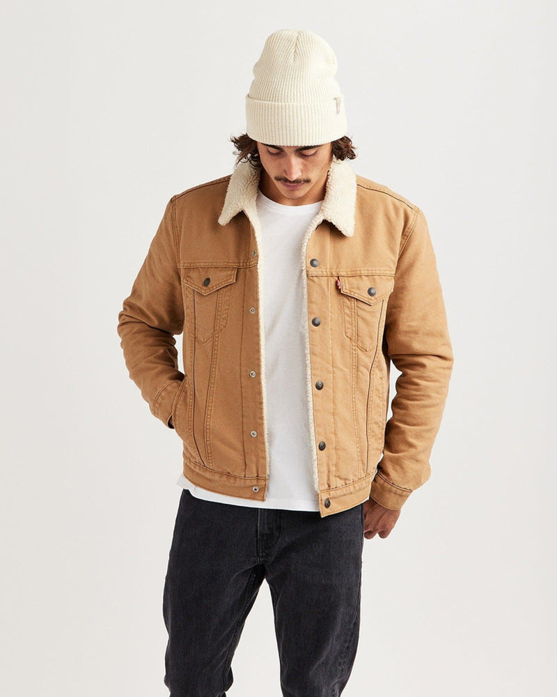 Ranger Beanie in Bone