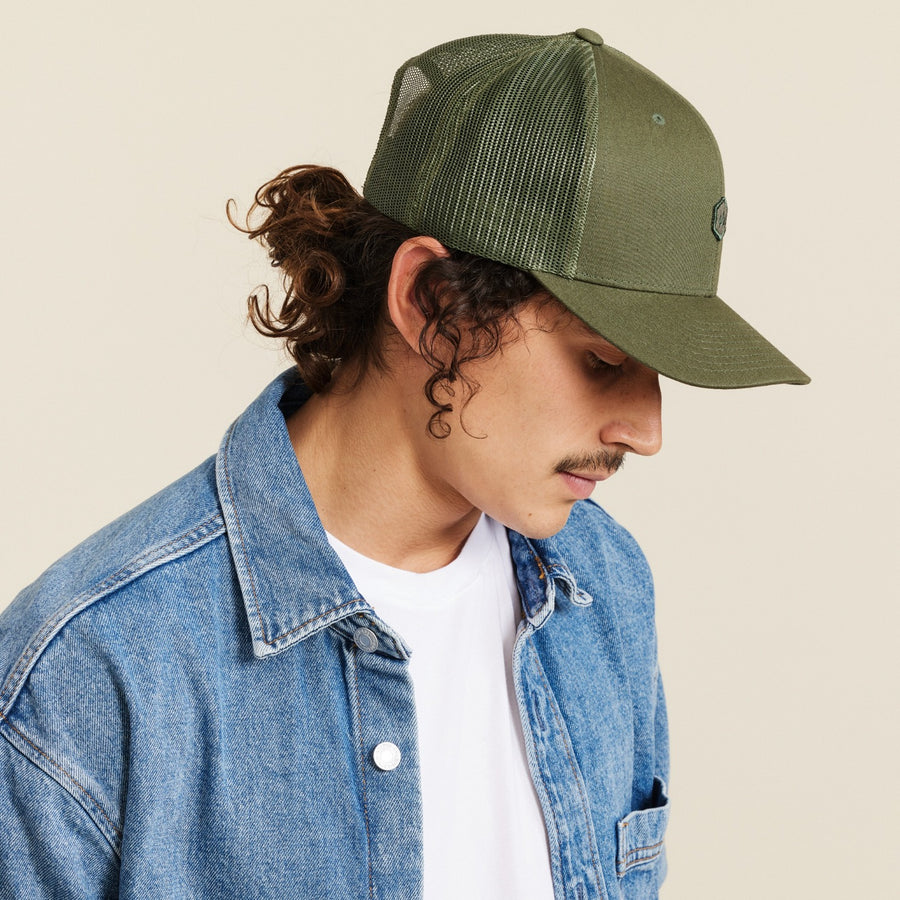 #color_olive